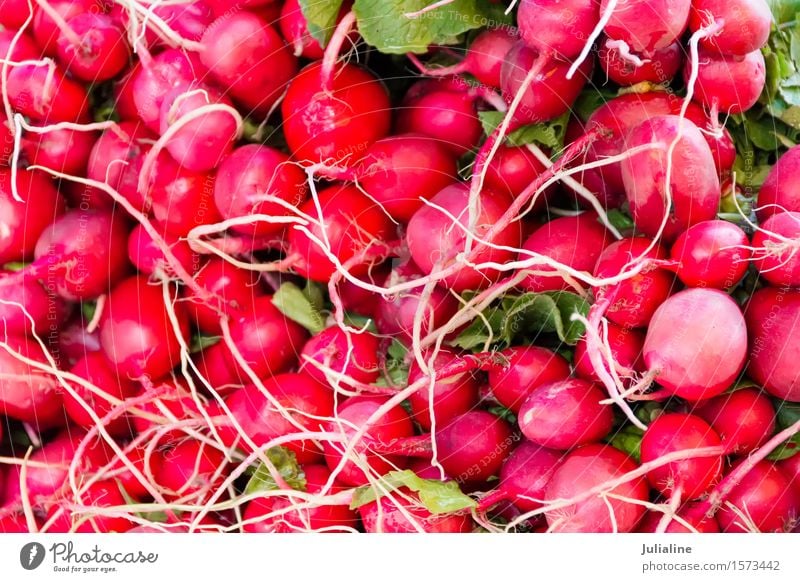 Background with fresh red radish Vegetable Vegetarian diet Leaf Fresh Pink Red food healthy Raw Organic Colour photo
