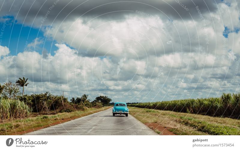 good roads, bad roads Vacation & Travel Tourism Trip Adventure Far-off places Freedom Summer vacation Landscape Elements Sky Clouds Horizon Beautiful weather