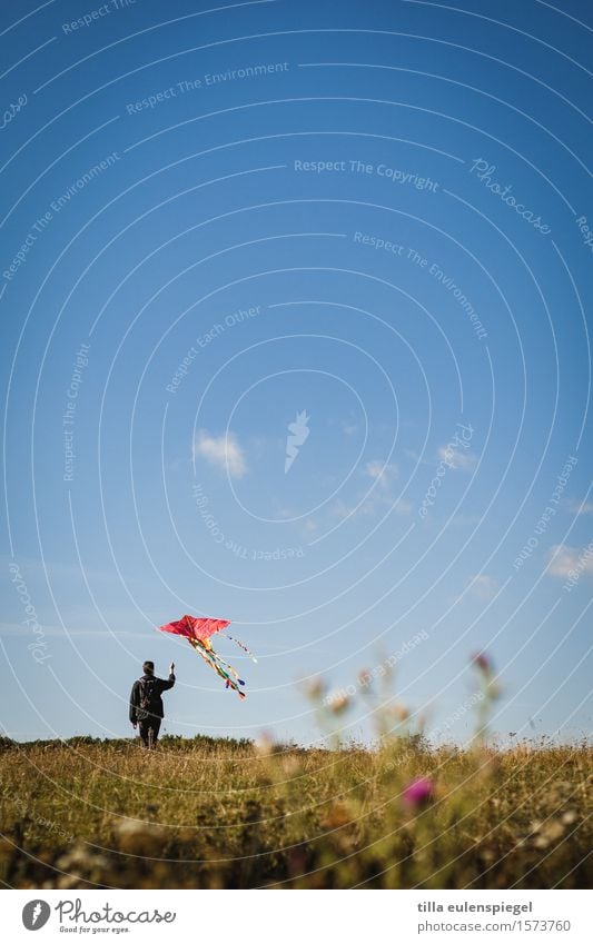 flying hour Leisure and hobbies Masculine Life 1 Human being Nature Autumn Meadow Movement To hold on Flying Infinity Blue Adventure Loneliness Relaxation