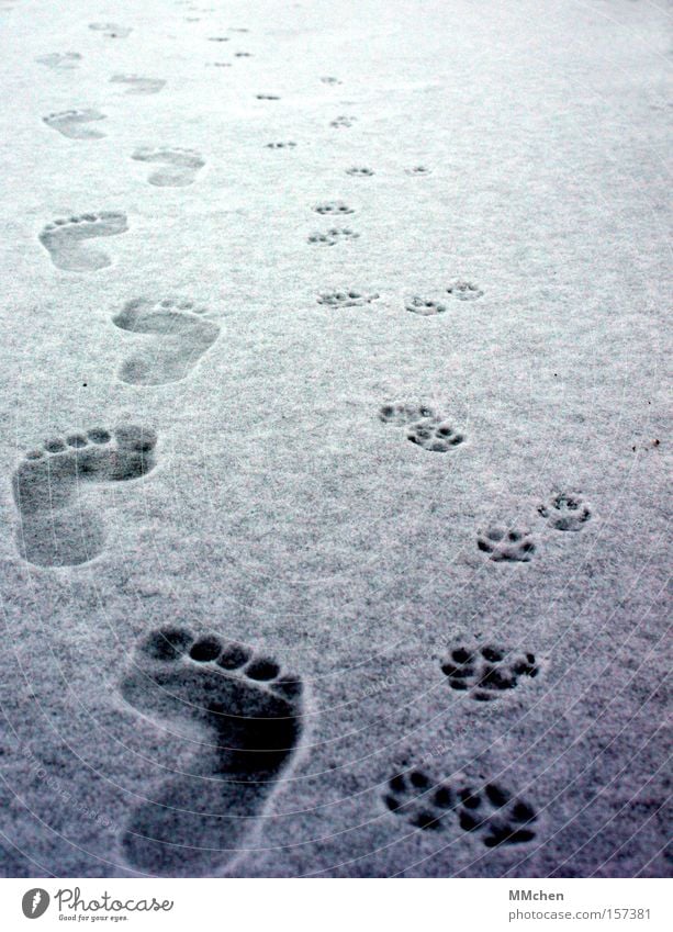in twos Barefoot Catwalk Human being Animal Footprint Toes Paw Cold Winter Feet Snow Ice