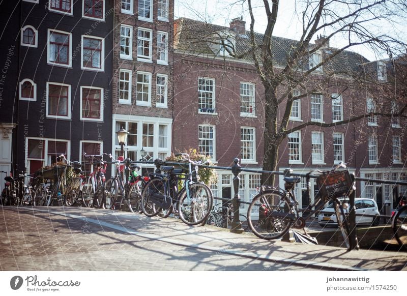 Amsterdam Vacation & Travel Tourism Trip Adventure Freedom Sightseeing City trip Summer To enjoy Esthetic Bright Warmth Joy Town Target Contentment Netherlands