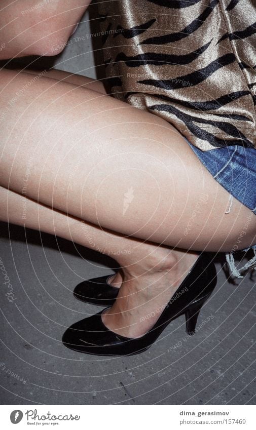 Legs 3 Woman Attractive Clothing Beautiful Interior shot Woman's leg Section of image Partially visible Only one woman 1 Person Individual Crouch Crouching