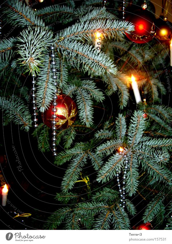5th Advent Christmas & Advent Christmas tree Oversleep Decoration Candle Fairy lights Pearl Sphere Glitter Ball Christmas decoration Fir tree Green Embellish