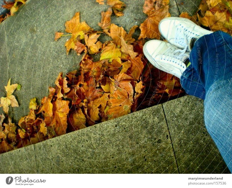 autumnlessness Colour photo Happy Autumn Warmth Leaf Jeans Footwear Think Brown White Cozy foot portrait