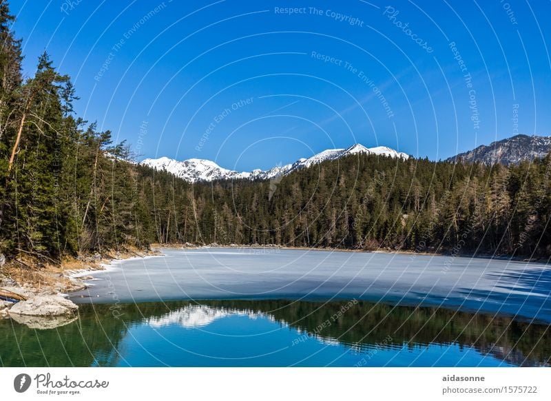 Eibsee Landscape Water Sky Cloudless sky Spring Beautiful weather Forest Alps Mountain Lakeside Eib Lake Emotions Moody Contentment Peaceful Caution Serene Calm