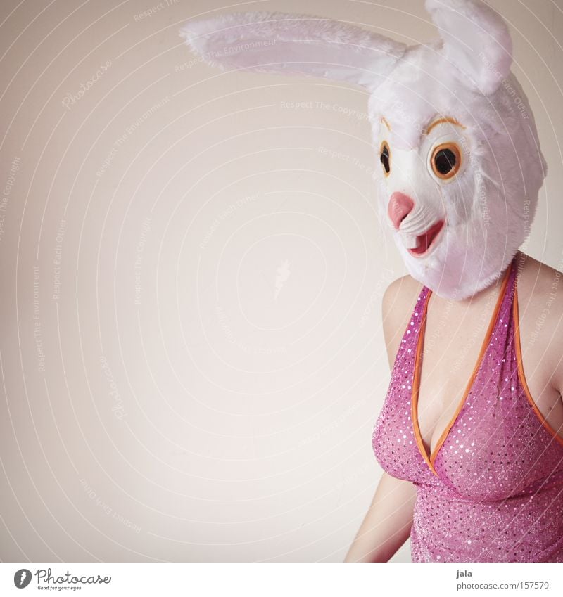 How the rabbit got his Easter job Hare & Rabbit & Bunny Easter Bunny Carnival Dress up Animal White Funny Pink Woman Ear Mask Costume Generous Joy