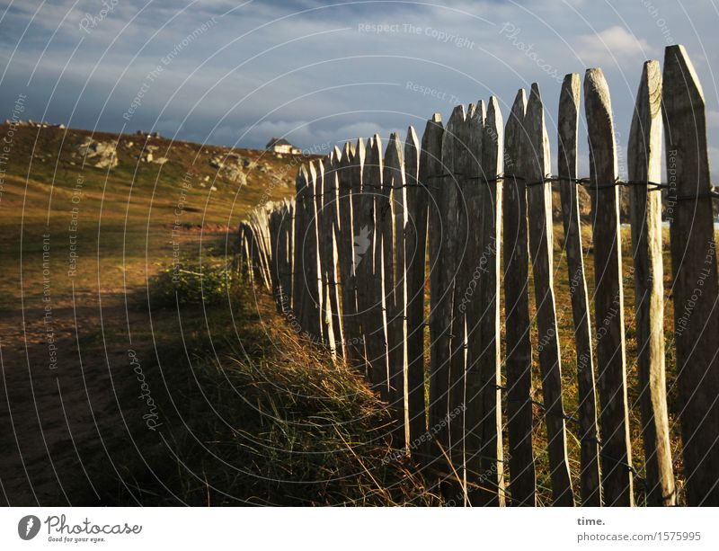 Still all slats at the fence Environment Nature Landscape Autumn Beautiful weather Meadow Rock Coast Fence Fence post Brittany Skyline