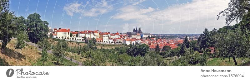Prague Vacation & Travel Sightseeing City trip Summer Nature Landscape Sky Sun Beautiful weather Foliage plant Park Hill Town House (Residential Structure)