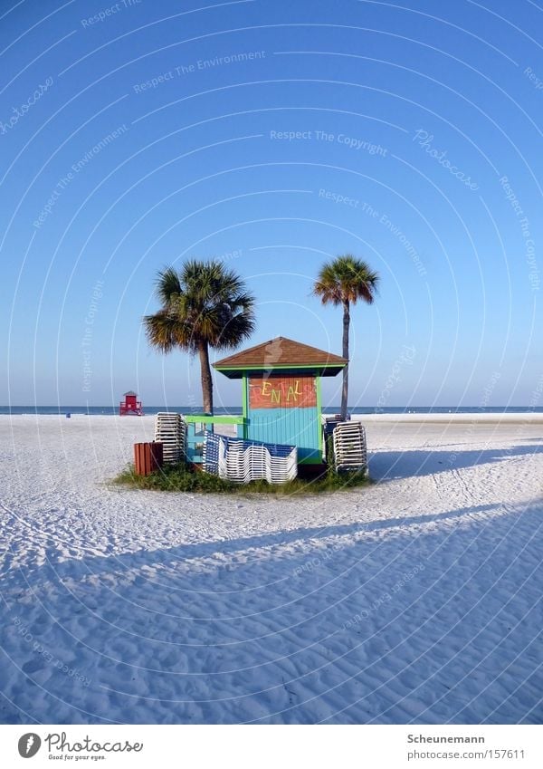 Beach House House (Residential Structure) Sandy beach Ocean Kiosk Palm tree Blue sky Multicoloured Oasis Coast beach house