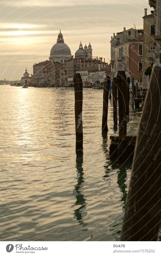 Venice Classic, portrait format Vacation & Travel Tourism Sightseeing City trip Cruise Water Clouds Spring Beautiful weather Coast Italy Veneto Deserted Church