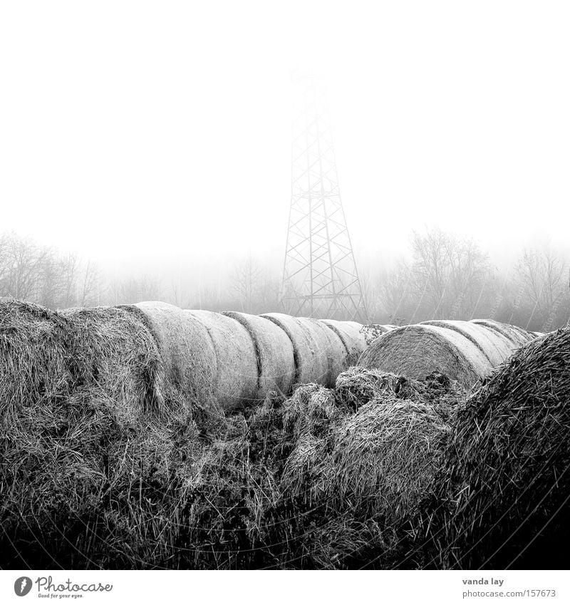 Foggy Field Straw Agriculture Round Bale of straw Hay bale Black & white photo Nature Environment Electricity Moody Morning Gray Loneliness Electricity pylon