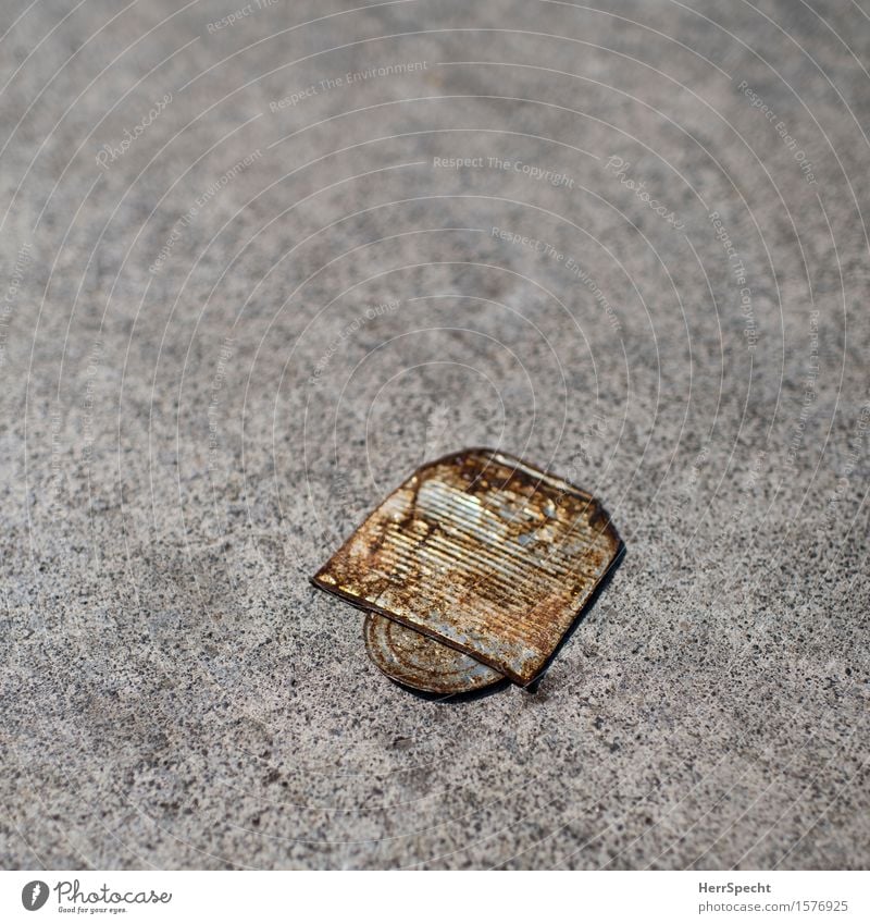 I'm flattened. Metal Old Gloomy Brown Gray Tin of food Empty Level Rust Discovery Pavement Sidewalk Object photography Colour photo Subdued colour Exterior shot