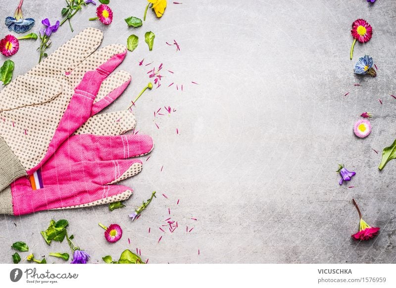 Garden gloves with flowers, leaves and plants Style Summer Living or residing Table Nature Plant Flower Leaf Blossom Blossoming Pink Design Equipment Gardening