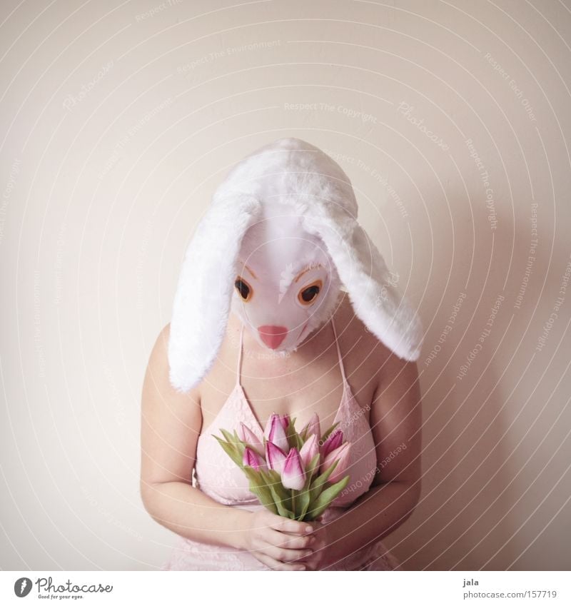 i'm sorry Hare & Rabbit & Bunny Easter Bunny Carnival Dress up Animal White Funny Woman Ear Carnival costume Costume Flower Apology Joy Love