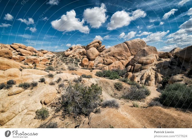 Joshua Tree National Park Beautiful Vacation & Travel Adventure Far-off places Expedition Summer Mountain Environment Nature Landscape Plant Elements Earth Sand