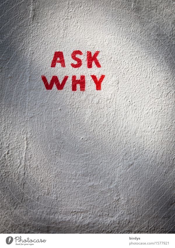 Question it Wall (barrier) Wall (building) Sign Characters Graffiti Simple Gray Red White Willpower Brave Passion Responsibility Watchfulness Truth Honest