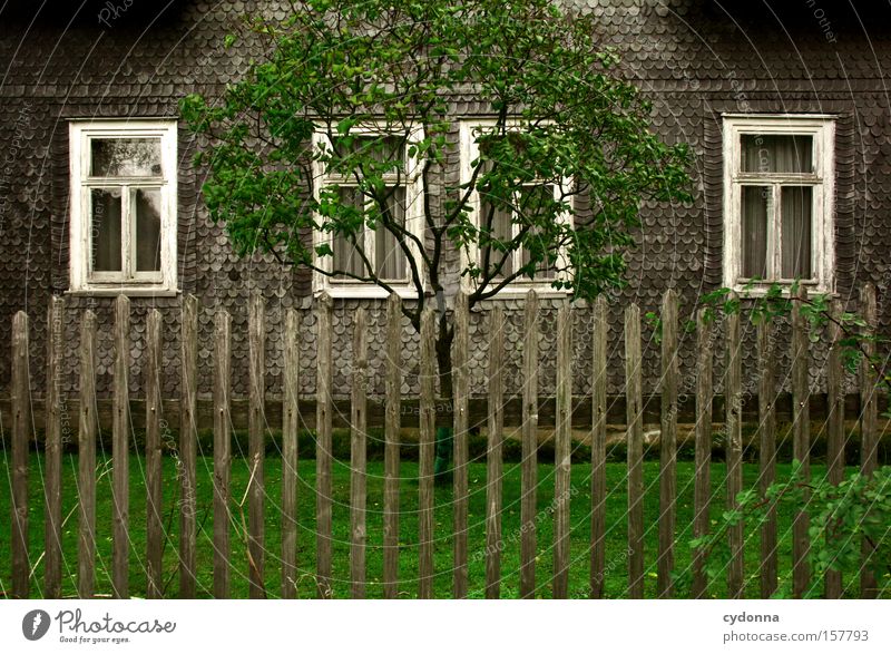homeland romanticism House (Residential Structure) Window Tree Garden Fence Old fashioned Symmetry Curtain Time Transience Life Green Meadow Home country
