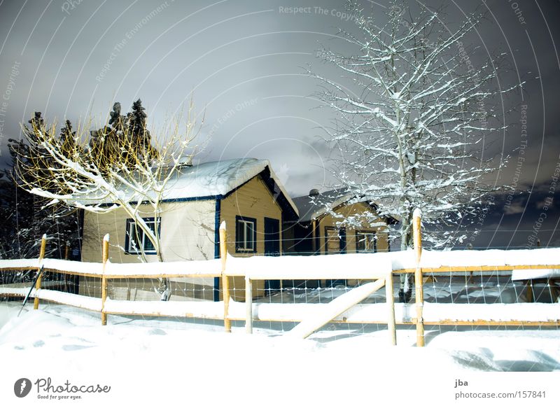 over there... House (Residential Structure) Hut Fence Tree Snow Winter Loneliness Calm Wood Virgin snow Clouds Bright Night Branch Long exposure Spooky