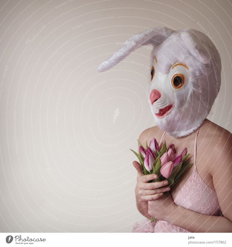 Crazy Easter Mask 18