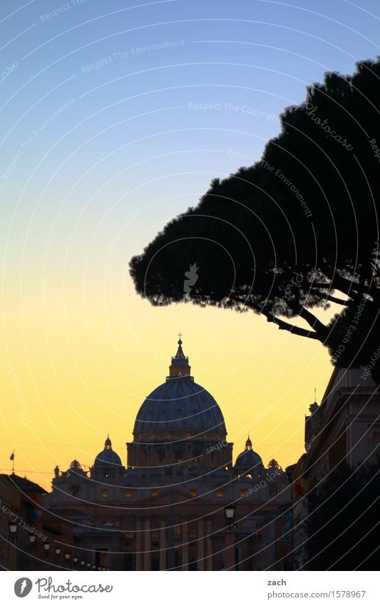 Chez Peter Vacation & Travel Sightseeing City trip Sky Sunrise Sunset Tree Stone pine Rome Vatican Italy Town Capital city Downtown Old town Church Dome Places