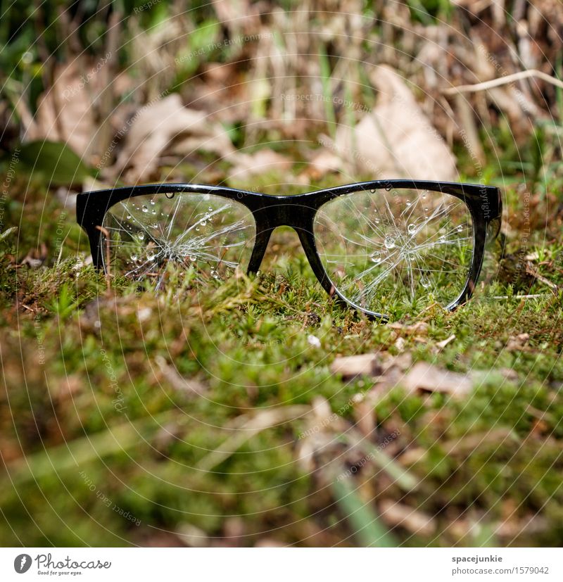 Teardrops. Environment Nature Landscape Plant Grass Bushes Moss Foliage plant Wild plant Garden Park Meadow Cry Exceptional Creepy Nerdy Green Tears Eyeglasses