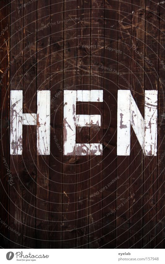 HEN Wood Wall (building) Scratch mark Smear Wooden wall Hut Building Letters (alphabet) Typography Word Detail Characters Communicate hen syllable White Brown