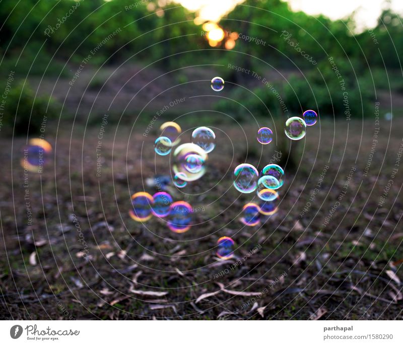 Soap bubbles floating in the air Environment Nature Landscape Air Sun Sunrise Sunset Beautiful weather Blue Multicoloured Yellow Gold Green Contentment Serene
