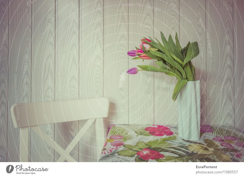 panelled and sculptured Spring Flower Tulip Blossom Blossoming Living or residing Bright Multicoloured White Bouquet Still Life Chair Table Tablecloth Vase