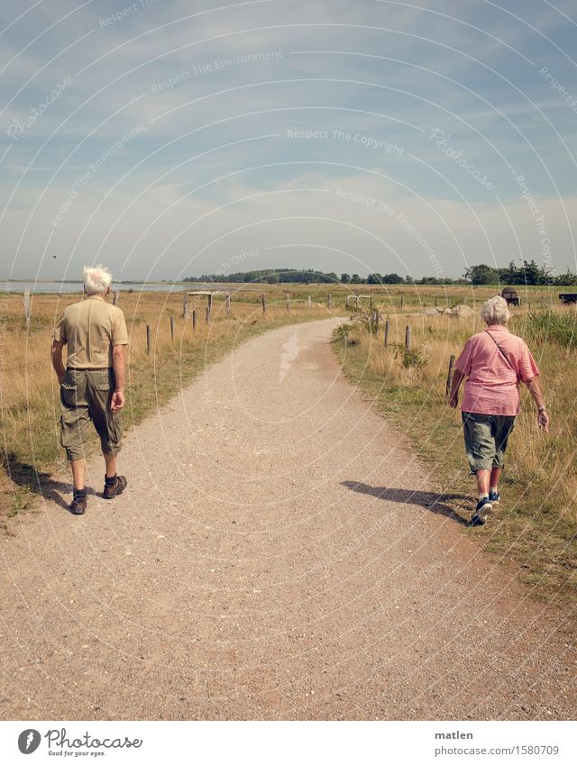 separately together Human being Masculine Feminine Partner Senior citizen Back 2 60 years and older Walking Hiking Lanes & trails Divide Together White-haired