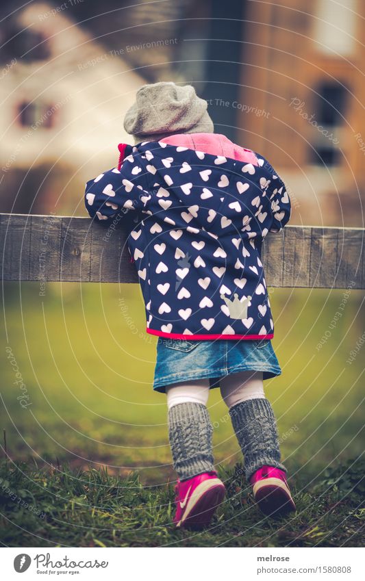 inquisitorial Toddler Girl Infancy 1 Human being 1 - 3 years Nature Spring Beautiful weather Grass Meadow Fashion Stockings casual jacket Sneakers Denim skirt