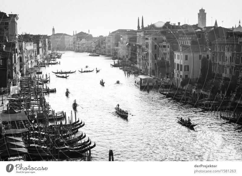 Canale Grande in black and white Vacation & Travel Tourism Trip Sightseeing City trip Summer vacation Waves Island Port City Tourist Attraction Landmark