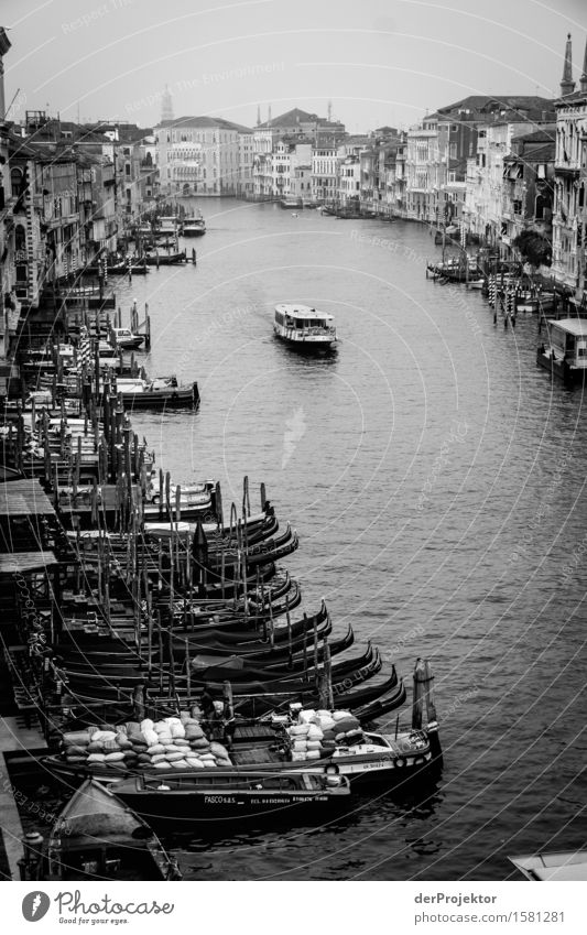 Black and white on the Grand Canal in Venice Looking Central perspective Deep depth of field Dawn Morning Light Shadow Contrast Copy Space middle