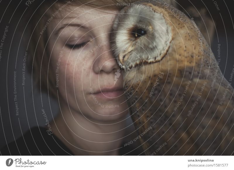 owl Woman Adults 1 Human being 18 - 30 years Youth (Young adults) Blonde Short-haired Wild animal Dead animal Owl birds Strix Animal Exceptional Soft Acceptance