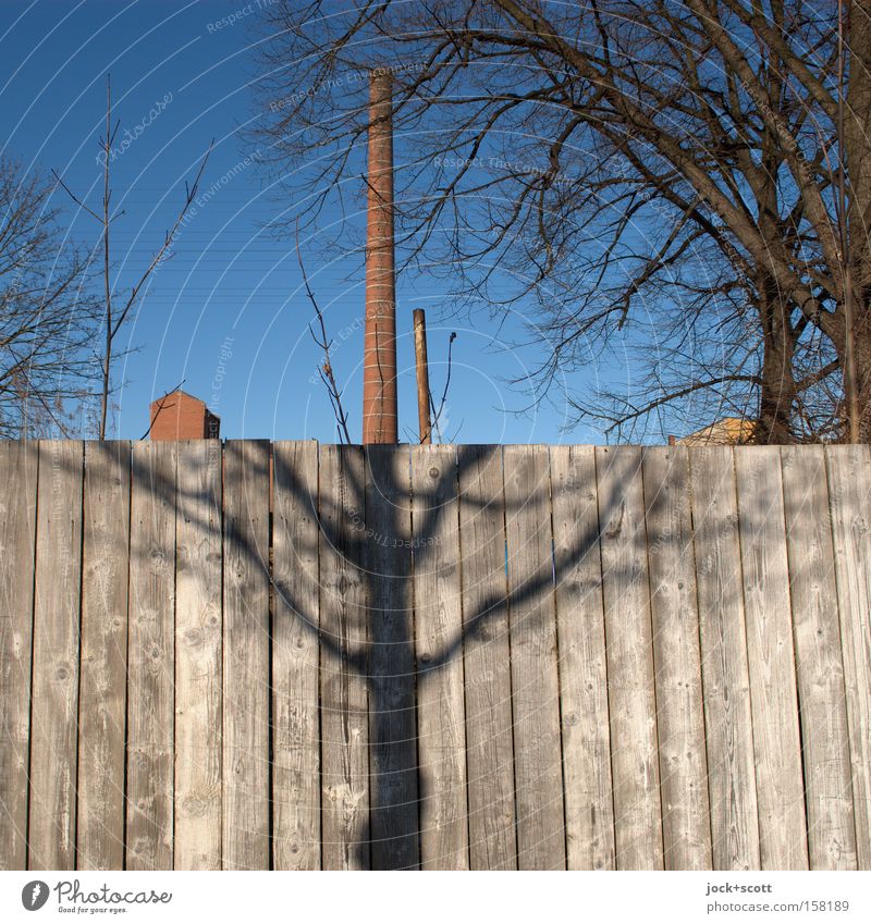 half shadow and half chimney Cloudless sky Winter Tree Branch Lichtenberg Architecture Chimney Wooden fence Brown Detail Abstract Structures and shapes
