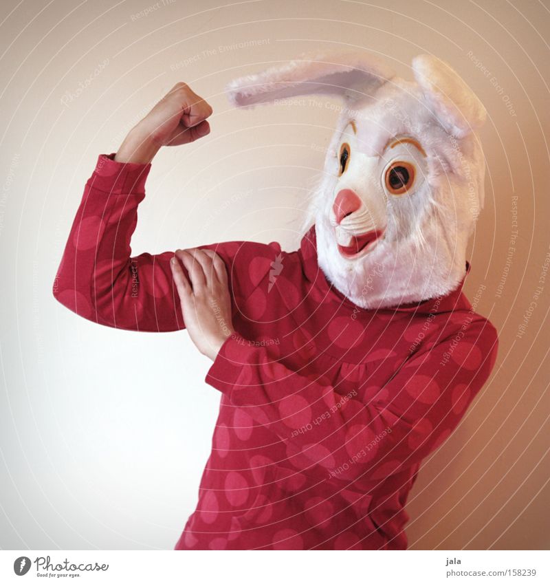power rabbit Hare & Rabbit & Bunny Easter Bunny Carnival Dress up Animal White Funny Strong Woman Mask Costume Force Joy Human being