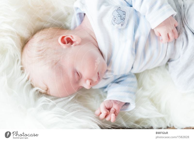 Sweet dreams Human being Baby Family & Relations Life 1 0 - 12 months Lie Sleep Dream Small Cute Soft White Emotions Happy Contentment Joie de vivre (Vitality)