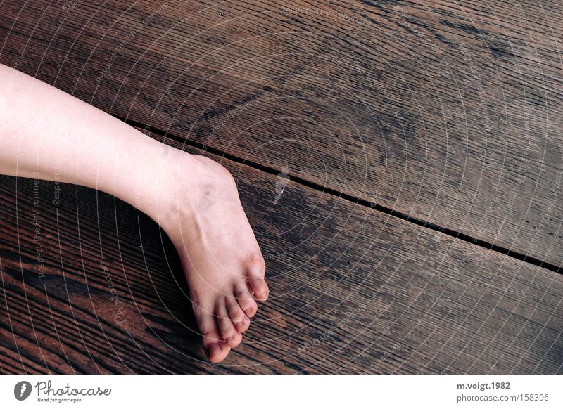 There's leg Legs Limbs Feet Part Dirty Wood Background picture Human being Floor covering Contrast Parts of body Woman