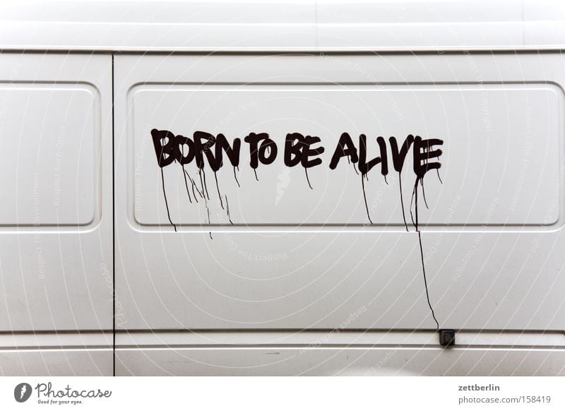 born to be alive Characters Inscription Typography Letters (alphabet) Vandalism Graffiti Lettering Inscribe Smeared Motor vehicle Bus Sliding door Car
