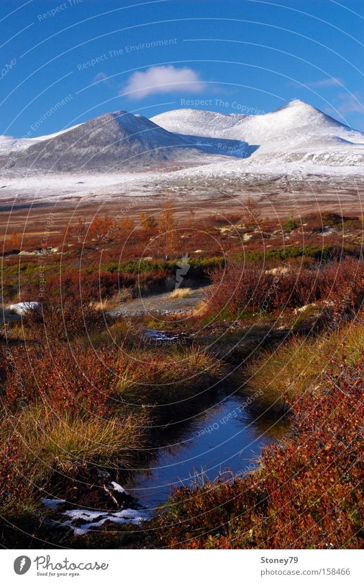 Indian Summer in Rondane Far-off places Snow Mountain Nature Landscape Sky Autumn Beautiful weather Pond Blue Brown Multicoloured Red White Calm Loneliness