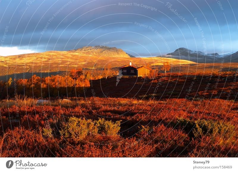 Morning mood in Rondane Calm Mountain House (Residential Structure) Nature Landscape Sky Clouds Sunrise Sunset Sunlight Autumn Bushes Hut Gold Red Loneliness
