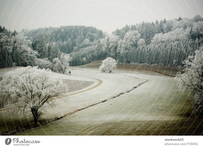 winter trip Train travel Landscape Snow Confectioner`s sugar Hoar frost Meadow Tree Forest Green Winter Germany