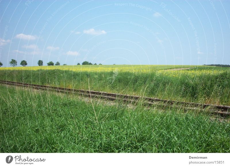 Tracks through the field Railroad tracks Field Canola Green Summer Transport Sky Traffic infrastructure