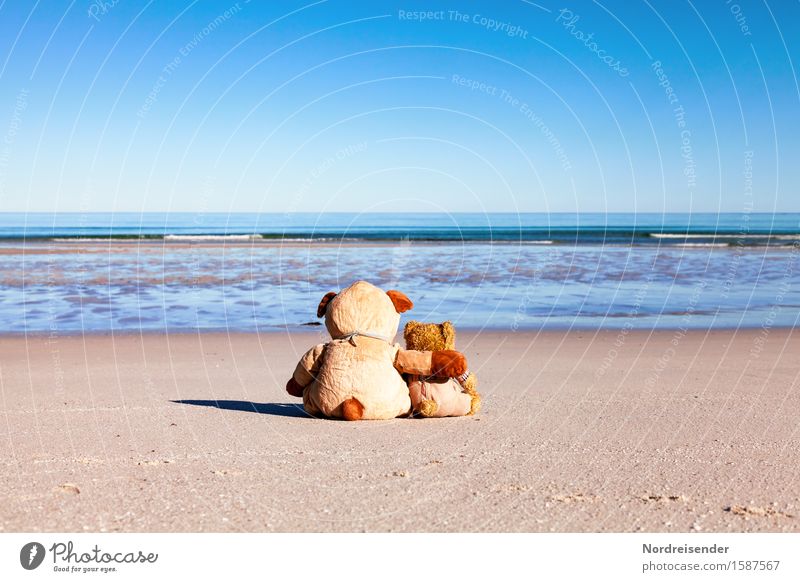 Relax your soul Picnic Vacation & Travel Far-off places Summer vacation Beach Ocean Parenting Elements Cloudless sky Beautiful weather North Sea Baltic Sea Toys