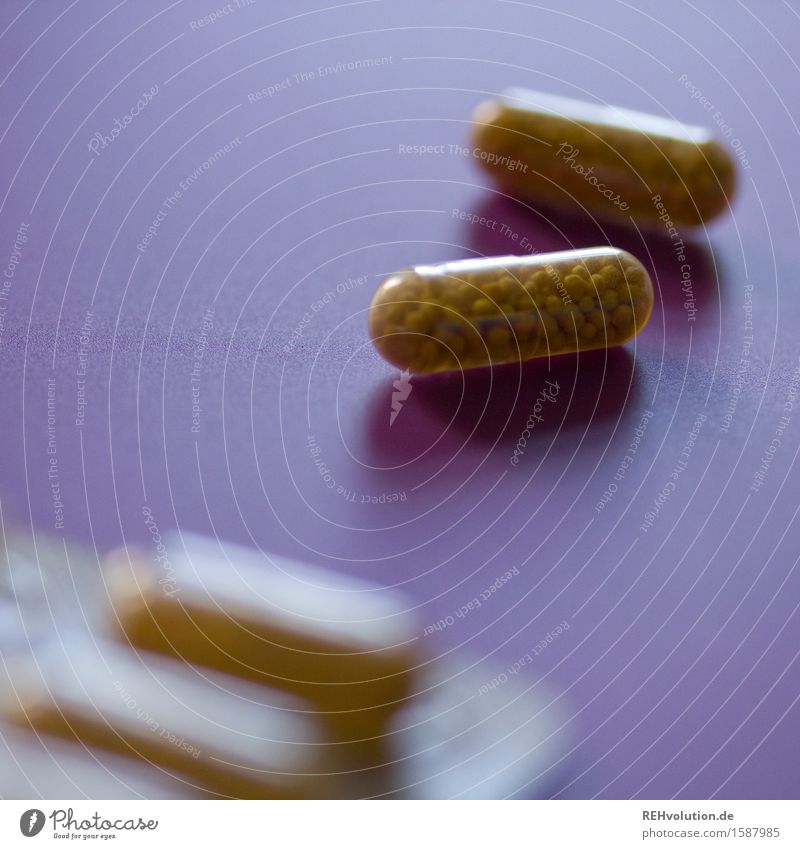 encapsulate Healthy Health care Medical treatment Illness Medication Small Yellow Violet Responsibility Attentive Colour photo Interior shot Neutral Background