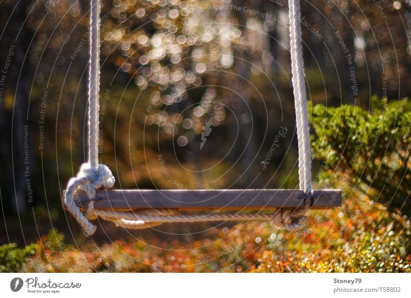 swing Garden Nature Autumn Beautiful weather Warmth Bushes Forest To swing Dream Friendliness Joy Safety (feeling of) Peaceful Longing Loneliness Swing