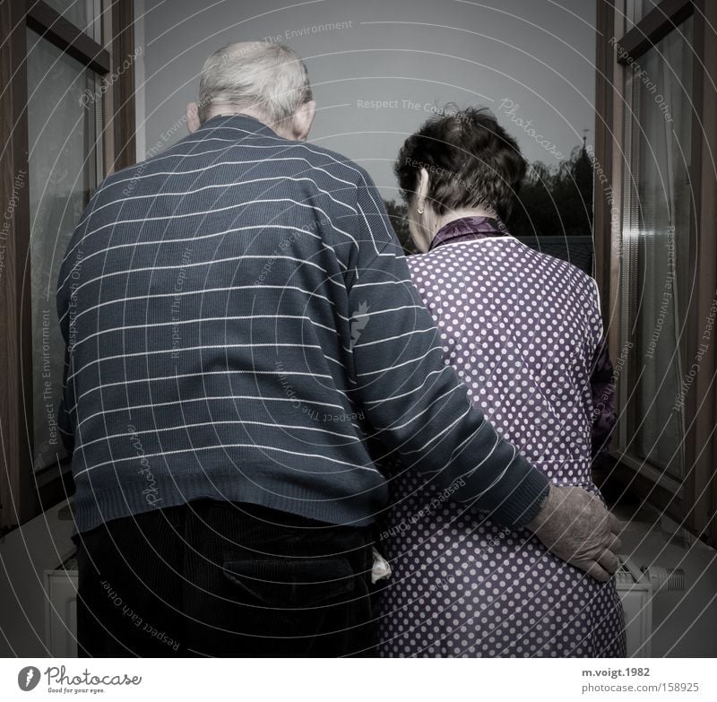 Growing old together Life Grandparents Senior citizen Grandfather Grandmother Couple 60 years and older Window Old Touch Love Dream Authentic Together Happy