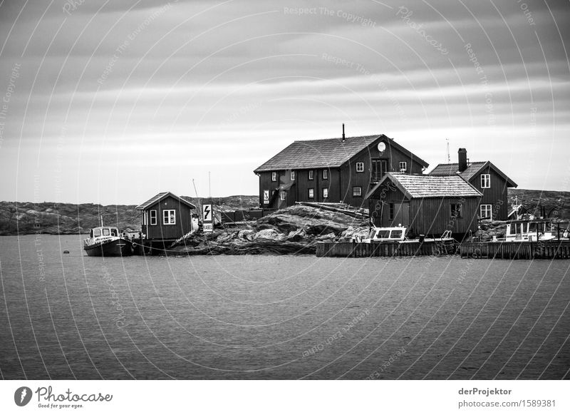 Small harbor on archipelago island in Sweden Panorama (View) Deep depth of field Reflection Contrast Light Day Copy Space right Copy Space top Copy Space bottom