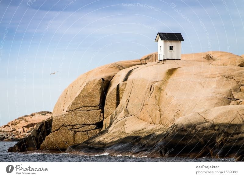Fishing hut on rocks in the archipelago Vacation & Travel Tourism Trip Adventure Far-off places Freedom Sightseeing Environment Nature Landscape Plant Summer