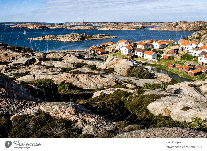 Small village with boats on archipelago island in Sweden Panorama (View) Deep depth of field Reflection Contrast Light Day Copy Space right Copy Space top