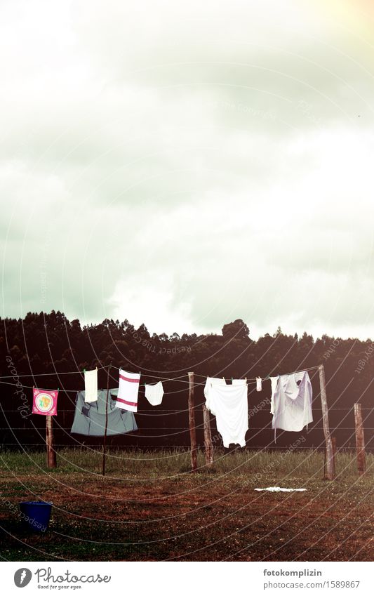 clotheslines melancholy Rope Clothesline Laundry Clothing Underwear Hang Dark Brown Homesickness Nostalgia Exterior shot Copy Space top Copy Space bottom
